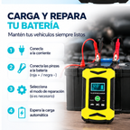 Cargador Inteligente de Baterías 12V