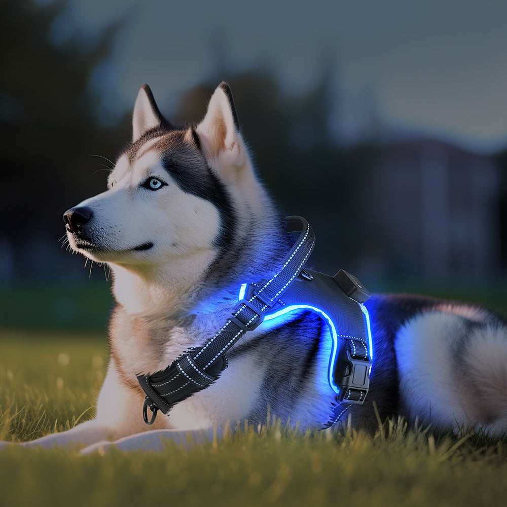 Arnés LED antitirones ergónomico con tiras reflectantes para perros