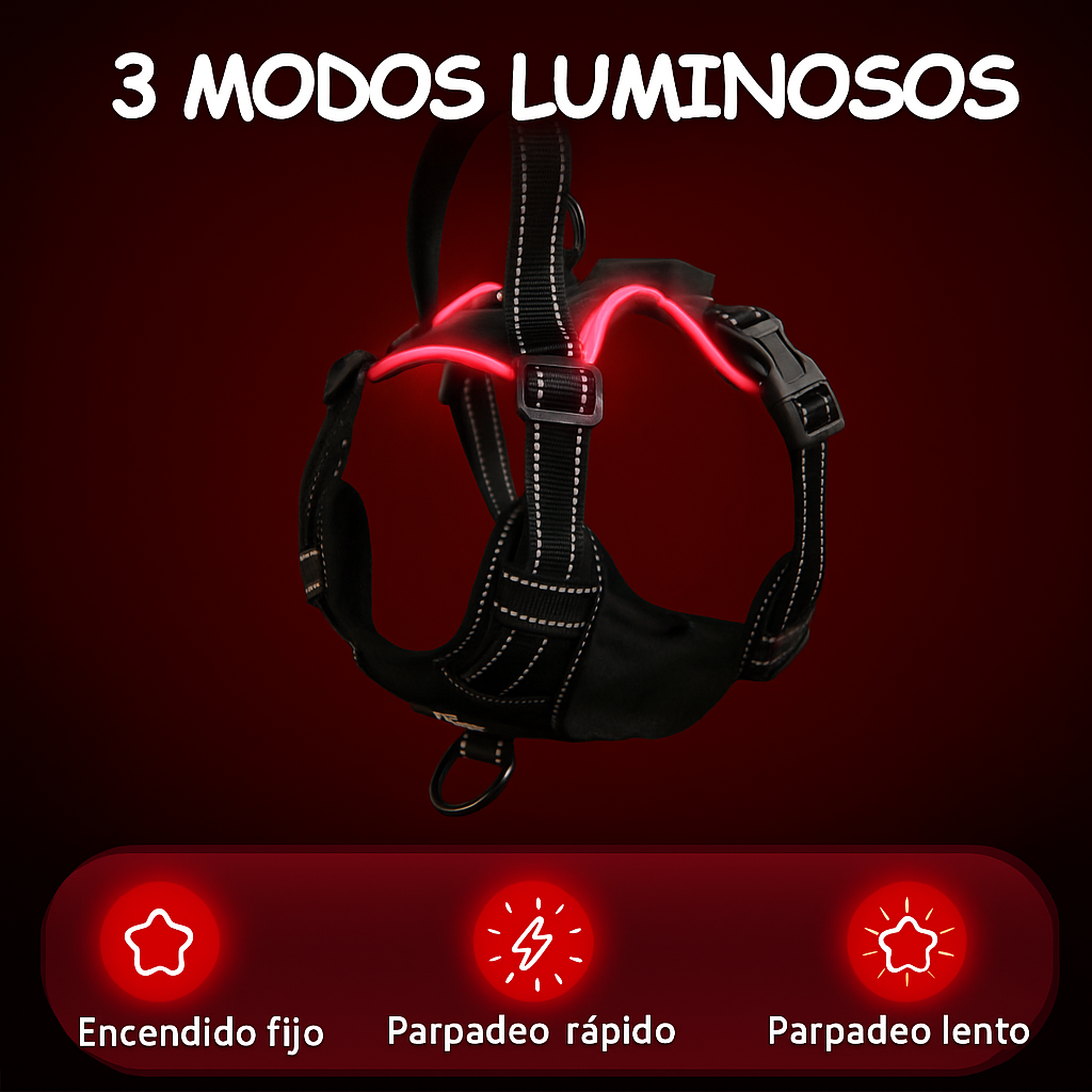 Arnés LED con luces encendidas en la oscuridad