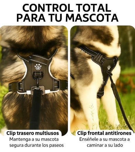 Perro usando el arnés LED antitirones en un paseo