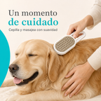 Cepillo a vapor para mascota - uso