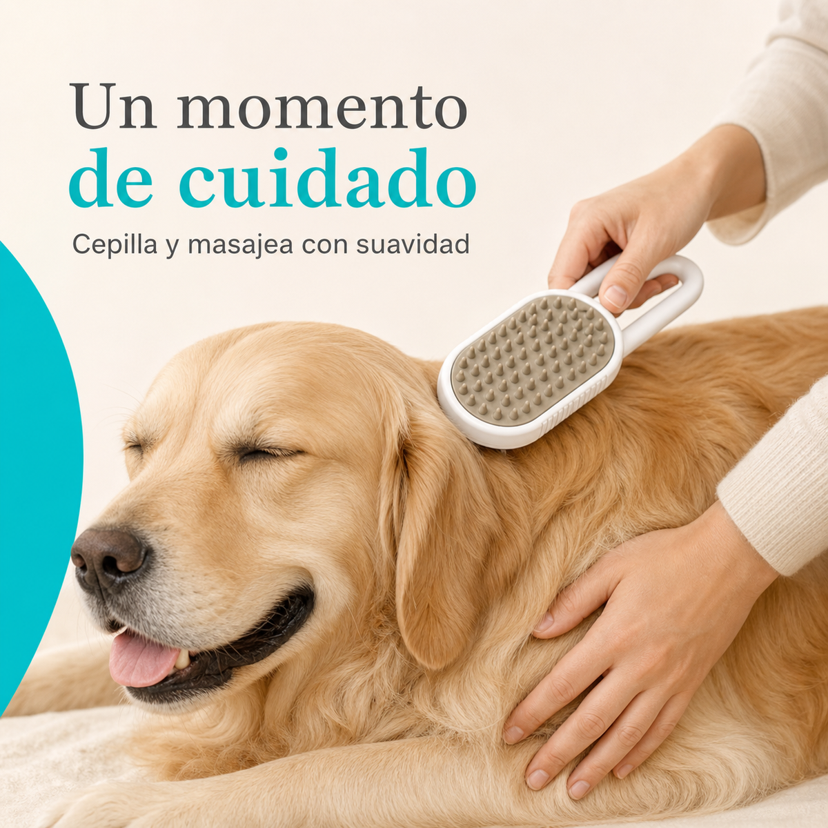 Cepillo a vapor para mascota - uso