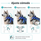 Guía de uso y tallas del arnés LED