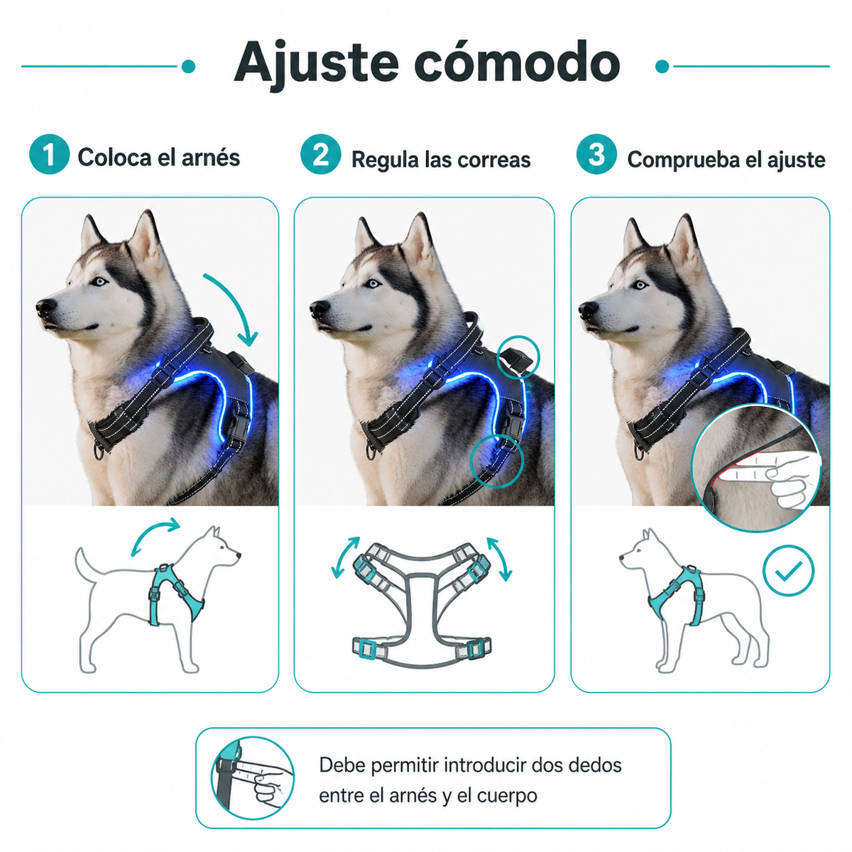 Guía de uso y tallas del arnés LED