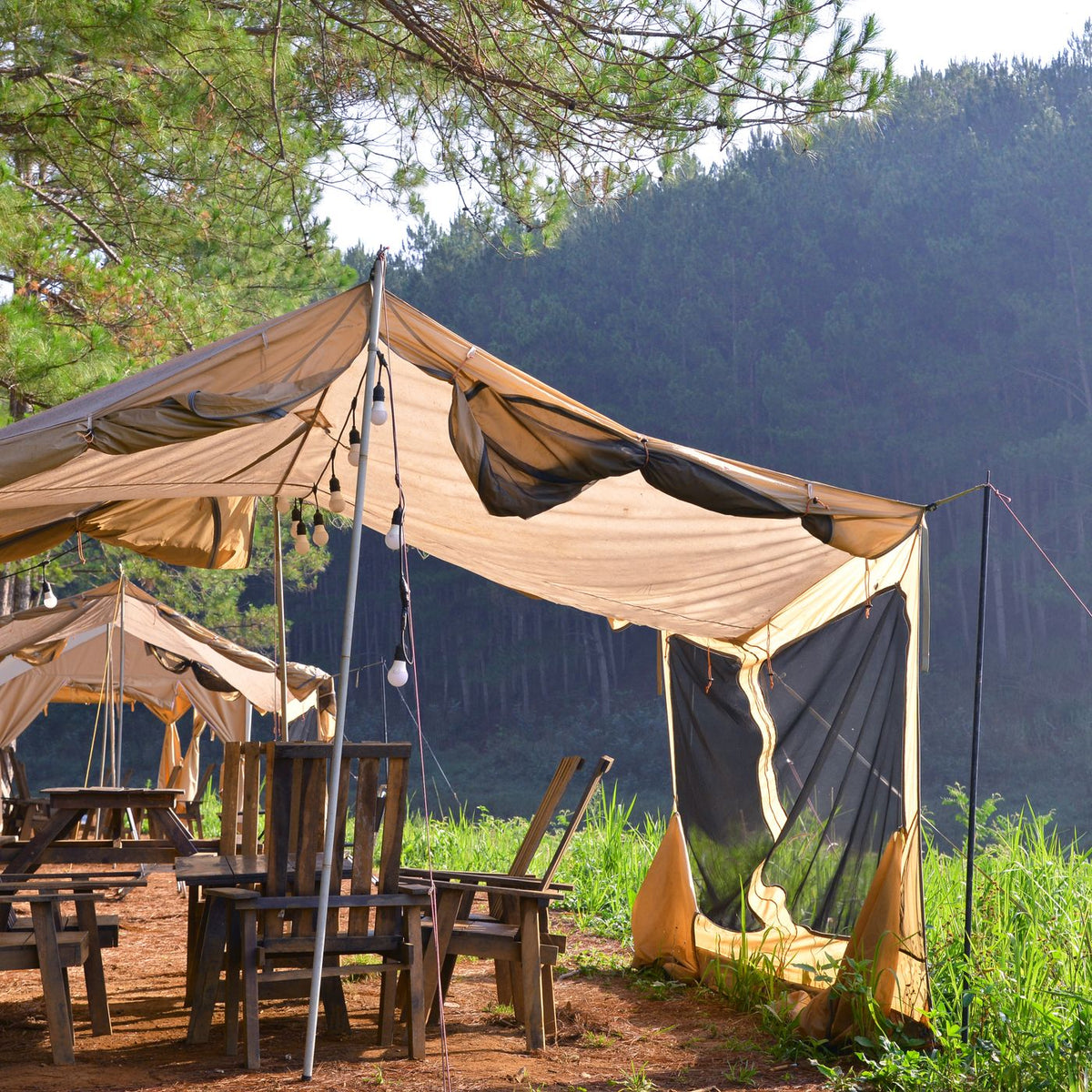 Toldo de campamento montado entre árboles