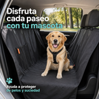 Mascota con arnés sobre protector de asiento